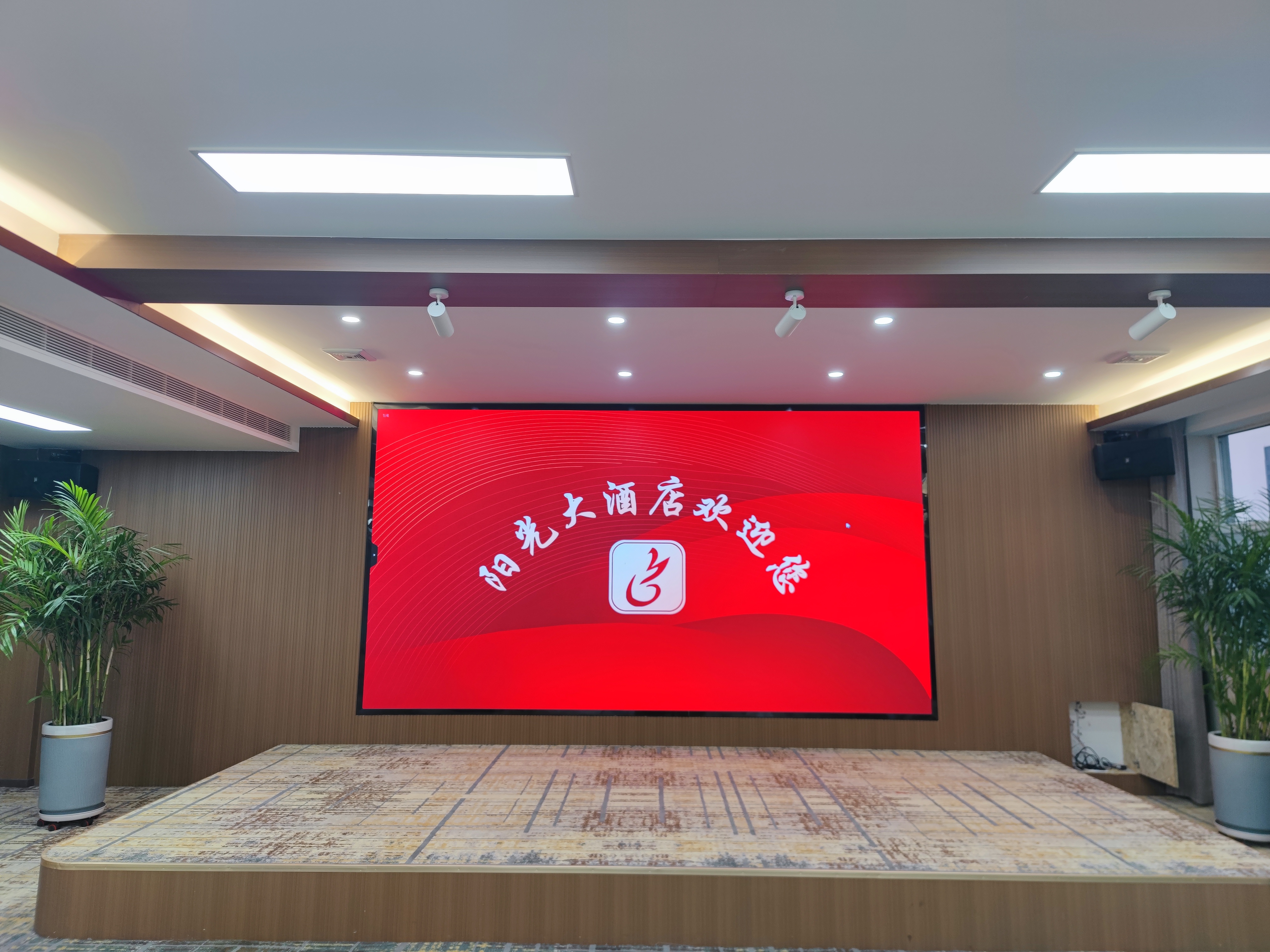 阳光大酒店扩声系统